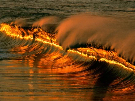 A stunning HD desktop wallpaper showcasing a golden wave in the ocean, capturing the beauty of nature with its warm, glowing hues.