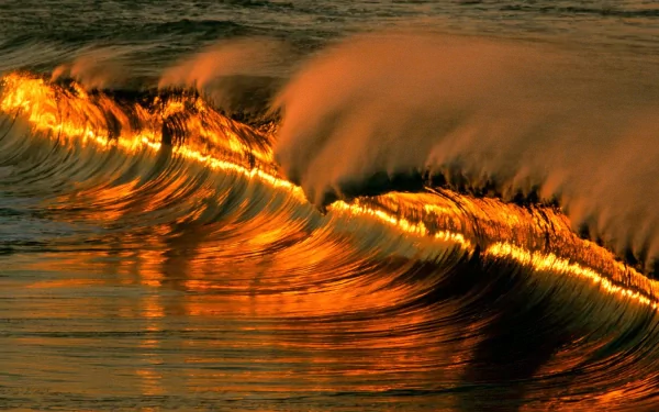 A stunning HD desktop wallpaper showcasing a golden wave in the ocean, capturing the beauty of nature with its warm, glowing hues.