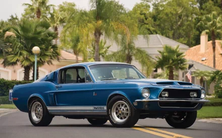  1968 Shelby Cobra GT500 King Of The Road