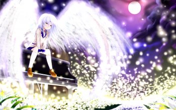 742 Angel Beats Hd Wallpapers Background Images Wallpaper Abyss Images, Photos, Reviews