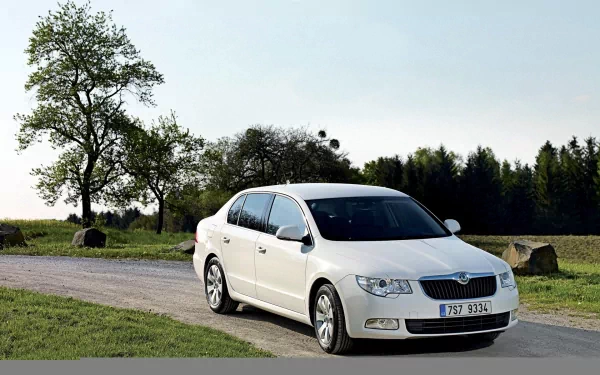 HD PC desktop wallpaper featuring a white Skoda sedan parked on a rural road with trees and a clear sky in the background.