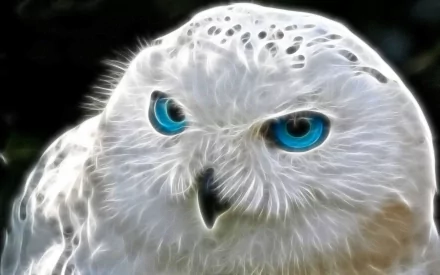 HD desktop wallpaper featuring a close-up of a snowy owl with bright blue eyes, showcasing its intricate feathers and striking gaze.