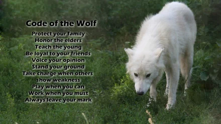 HD desktop wallpaper featuring an arctic wolf against a grassy background with the text Code of the Wolf listing values such as protecting family, honoring elders, and voicing opinions.