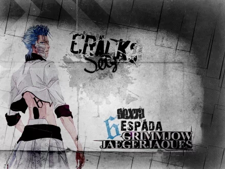 Grimmjow Jaegerjaquez Anime Bleach HD Desktop Wallpaper | Background Image