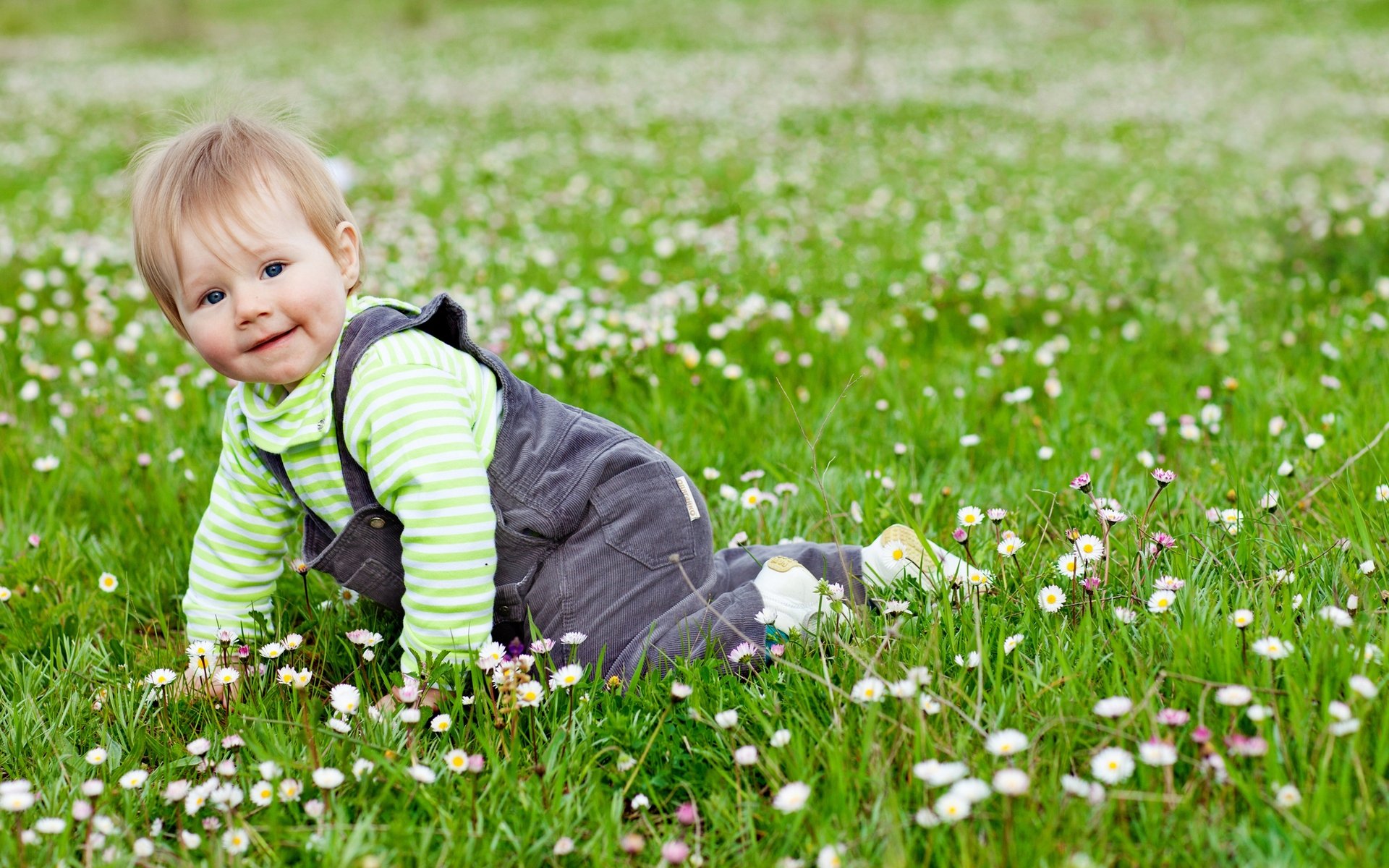 Photography Baby HD Wallpaper