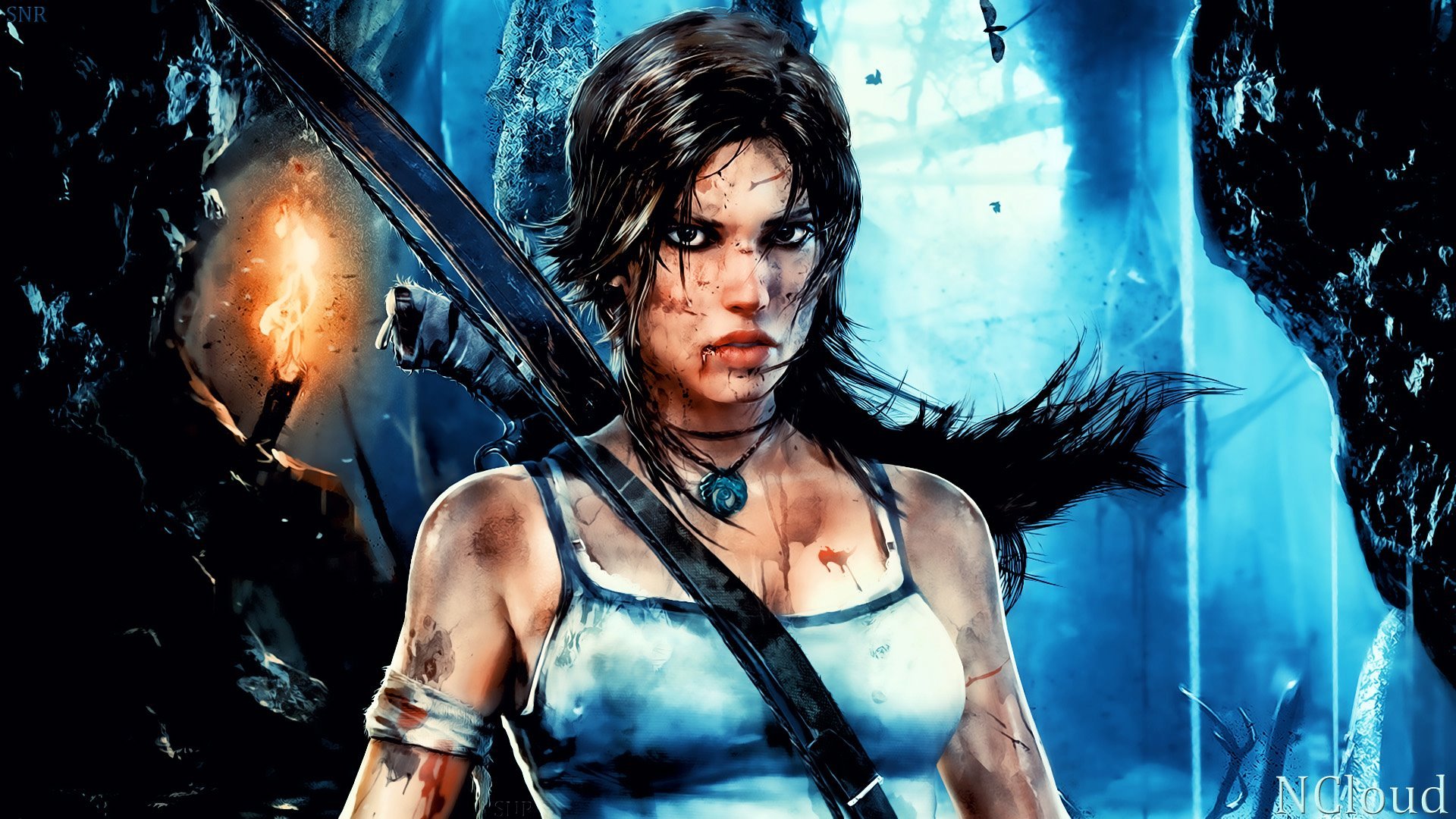 Download Video Game Tomb Raider HD Wallpaper