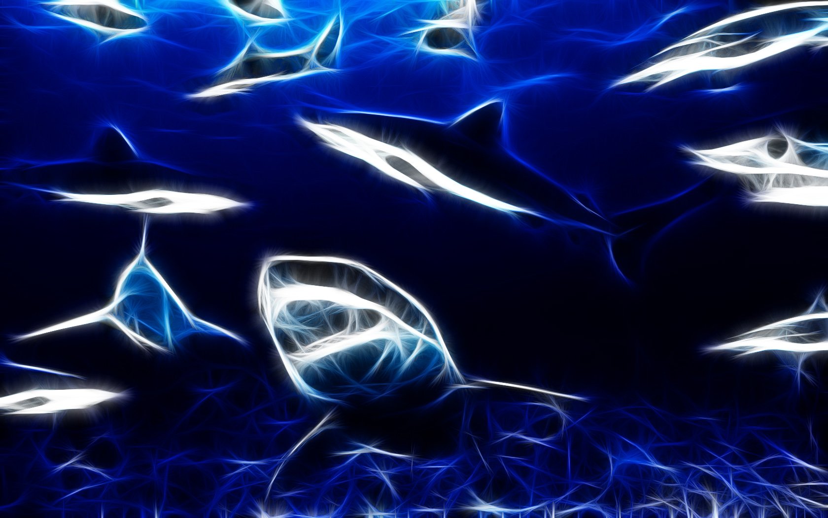Shark Wallpaper and Background Image | 1680x1050 | ID:270580