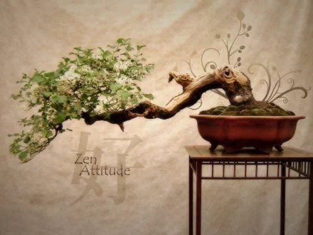HD desktop wallpaper featuring a tranquil bonsai tree with the words Zen Attitude, embodying Buddhist themes. The tree, on a stand, exudes calm and spiritual beauty against a soft background.
