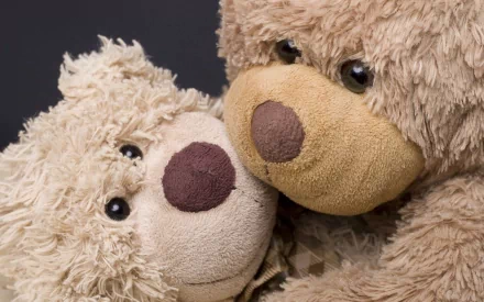 A cozy close-up of two teddy bears, showcasing their soft textures and warm expressions, serves as an inviting HD desktop wallpaper and background for a comforting atmosphere.