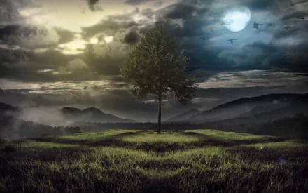 A fantasy landscape featuring a solitary tree on grassy hills under a dramatic sky with contrasting golden clouds and a bright full moon, captured in HD for a PC desktop wallpaper.