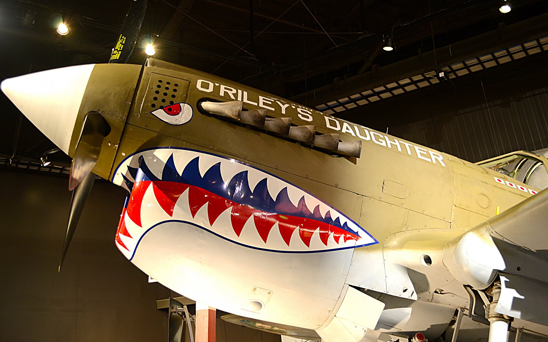 Close-up of a Curtiss P-40 Warhawk military aircraft with iconic shark mouth nose art, showcased in a detailed 4K Ultra HD PC desktop wallpaper and background.