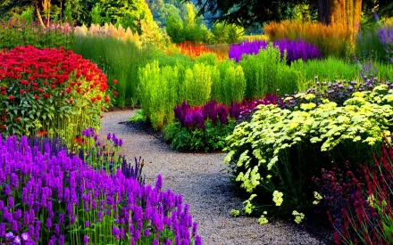 A vibrant park scene featuring a winding path surrounded by lush flowers in various colors, capturing the beauty of nature. This HD photography serves as an engaging desktop wallpaper.