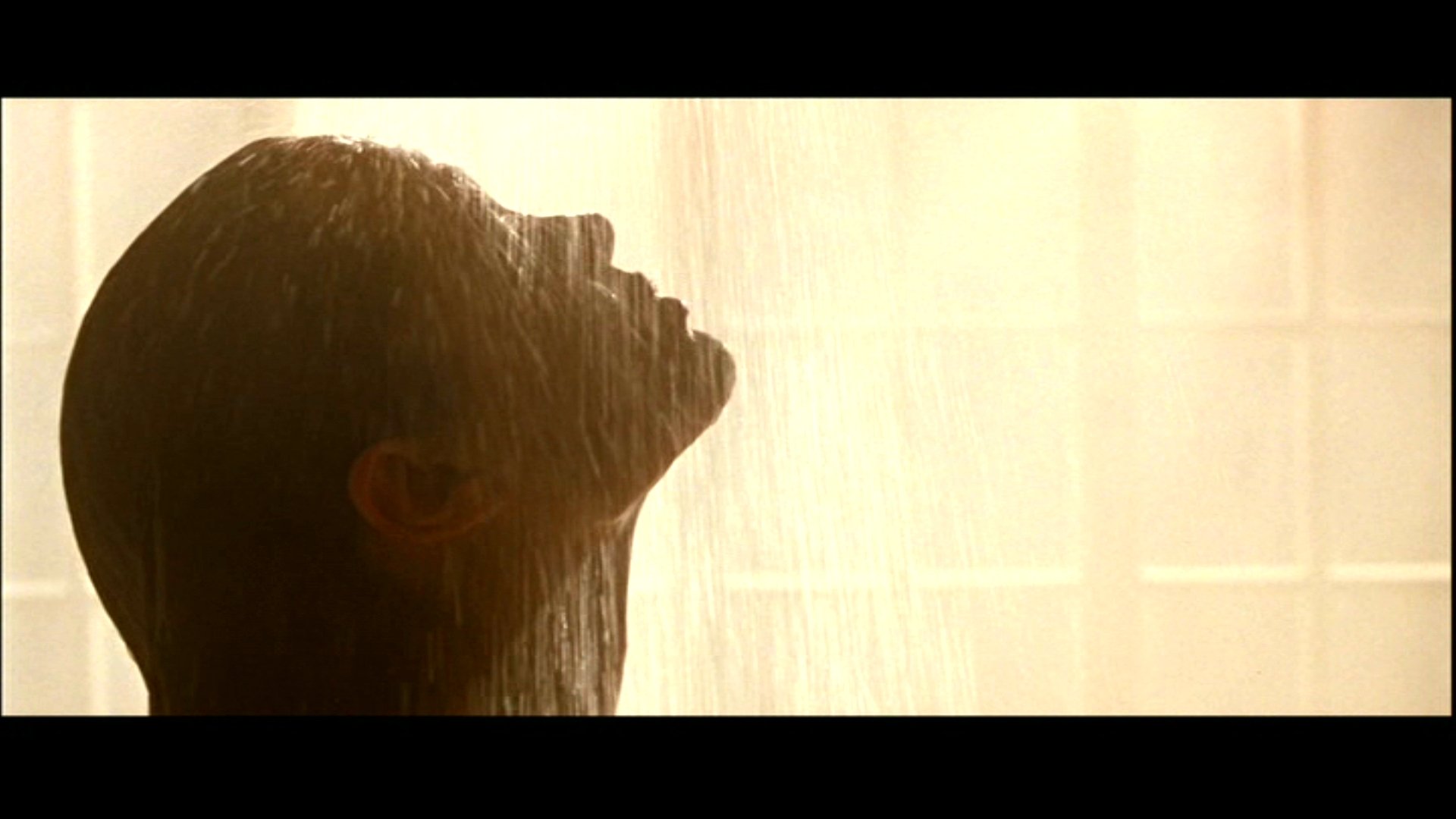 Download Movie Lara Croft: Tomb Raider HD Wallpaper