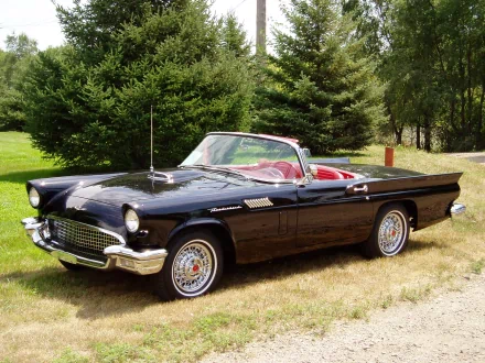 HD desktop wallpaper featuring a classic black Ford Thunderbird convertible parked on grass with evergreen trees in the background.