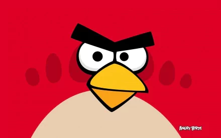 HD PC desktop wallpaper featuring Angry Birds with a bold red background and the iconic red bird's intense expression.
