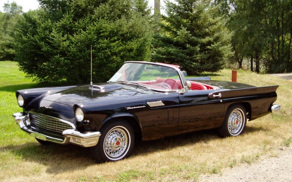 HD desktop wallpaper featuring a classic black Ford Thunderbird convertible parked on grass with evergreen trees in the background.
