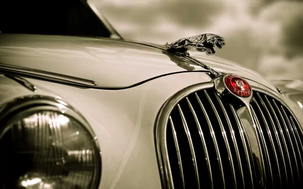Close-up of a classic Jaguar S-Type front grille and hood ornament, captured in a stylized HD PC desktop wallpaper showcasing vintage automotive elegance.