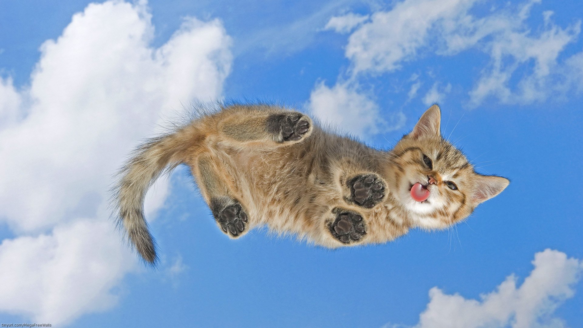 HD PC desktop wallpaper featuring a cute kitten playfully floating against a bright blue sky with fluffy white clouds.