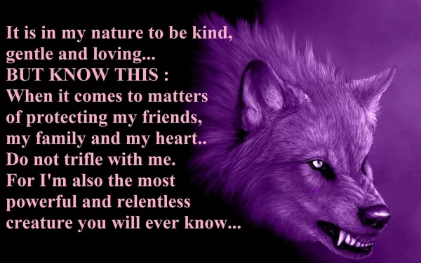 Animal wolf HD Desktop Wallpaper | Background Image
