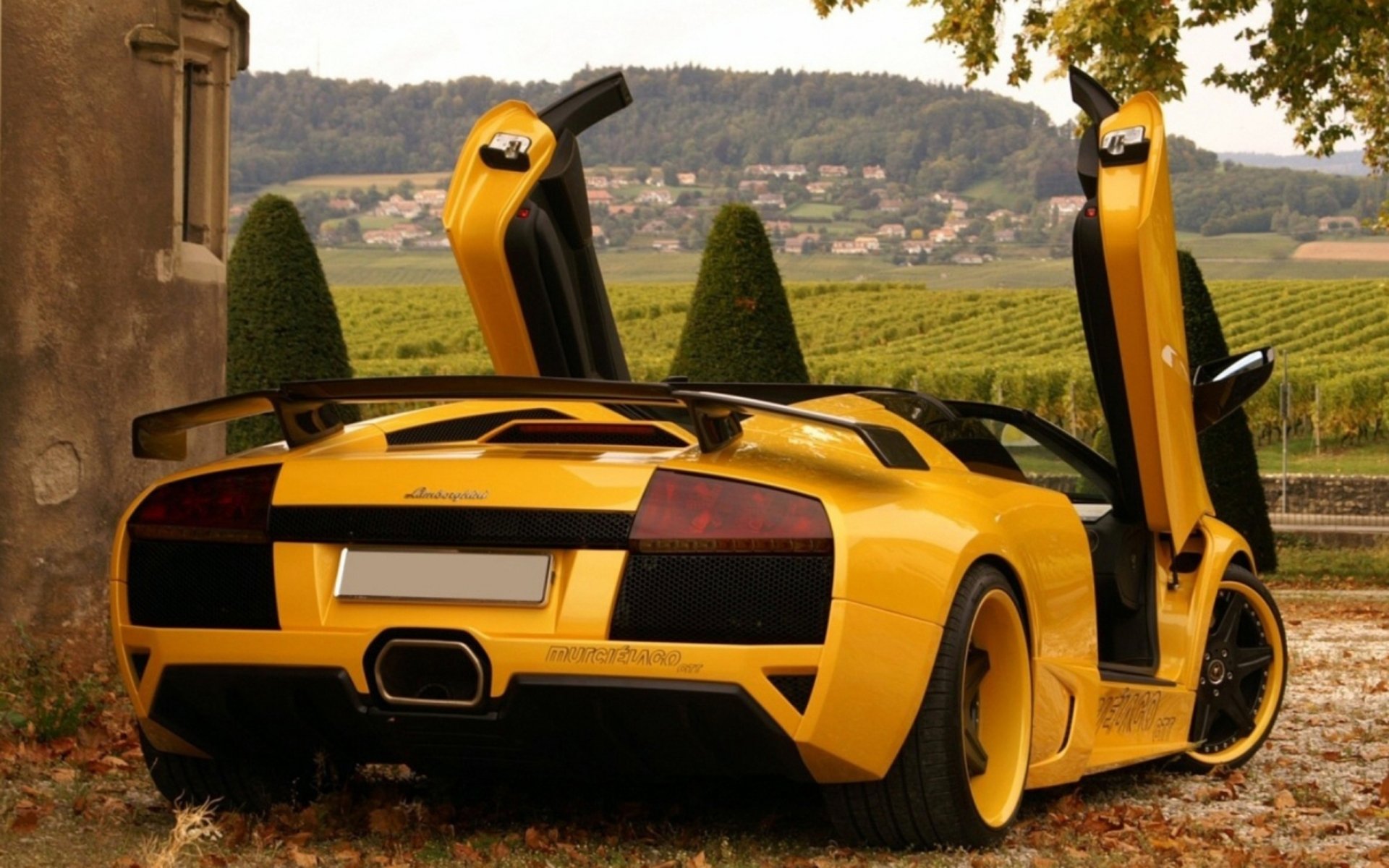 Vehicles Lamborghini Murciélago HD Wallpaper