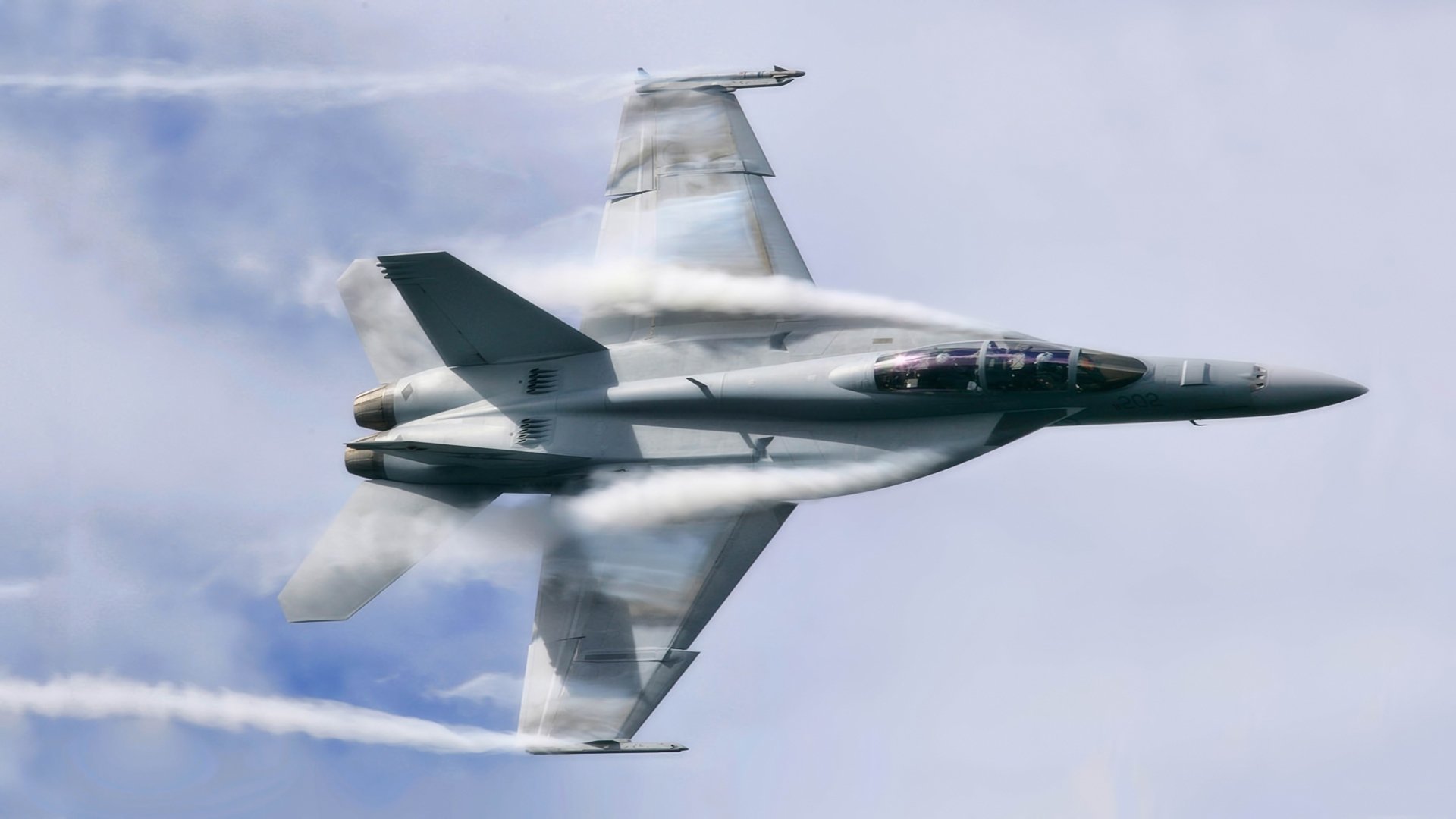 HD desktop wallpaper featuring a Boeing F/A-18E/F Super Hornet military jet in flight against a cloudy sky background.