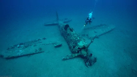 Underwater HD wallpaper showing a diver exploring a sunken military aircraft wreck resting on the ocean floor.