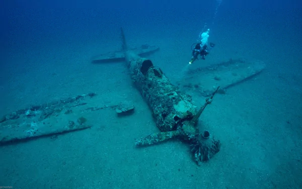Underwater HD wallpaper showing a diver exploring a sunken military aircraft wreck resting on the ocean floor.