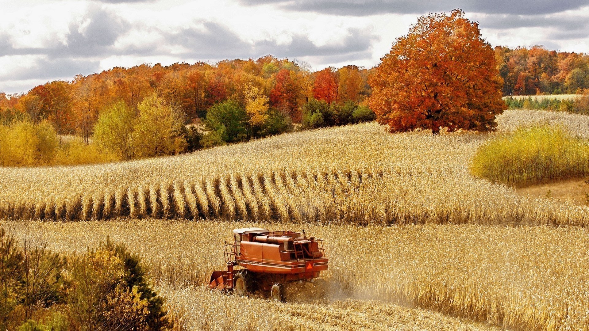 Download Harvest Tractor Vehicle Harvester  HD Wallpaper