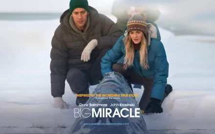 movie Big Miracle HD Desktop Wallpaper | Background Image