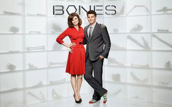 HD desktop wallpaper featuring Emily Deschanel as Temperance Brennan and David Boreanaz as Seeley Booth from the TV show Bones.