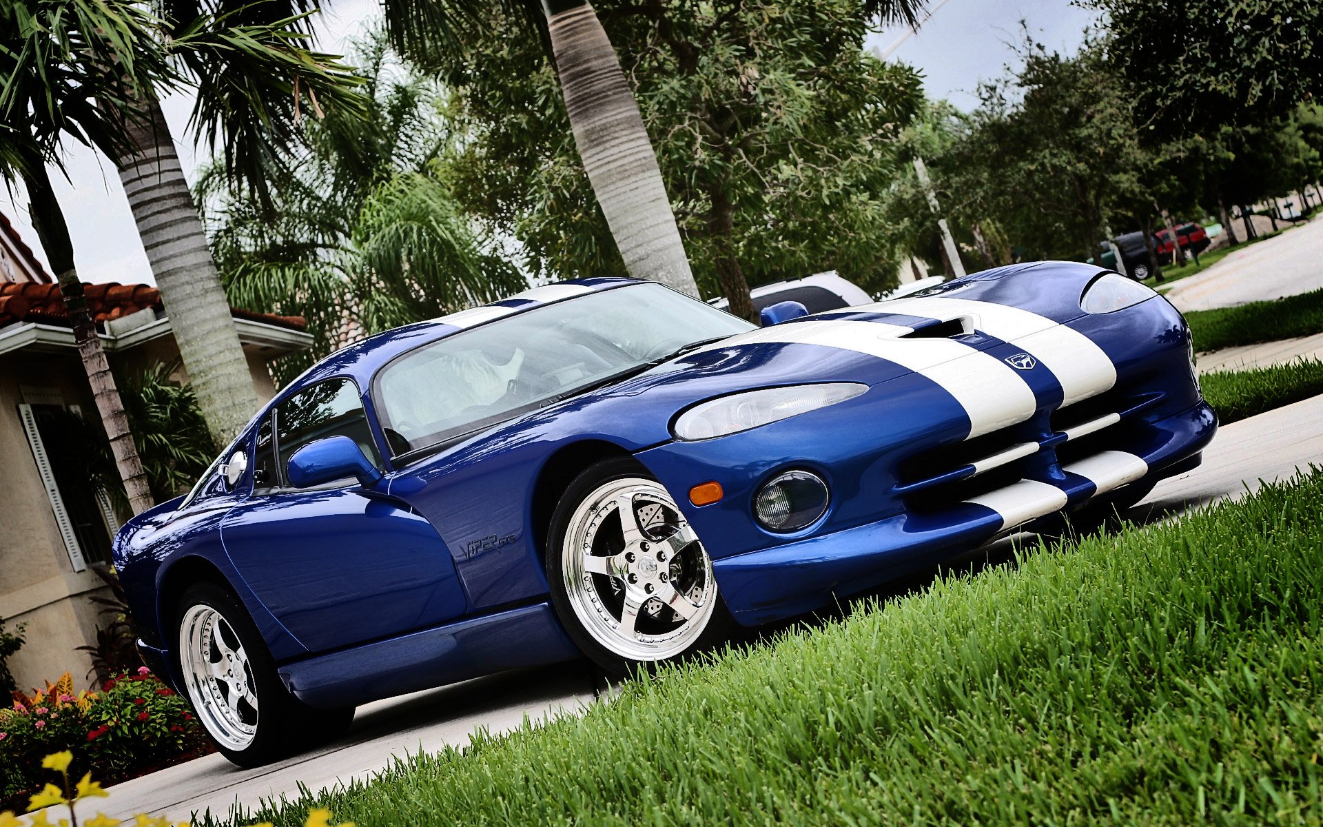 HD desktop wallpaper featuring a blue Dodge Viper with white racing stripes parked on a driveway surrounded by palm trees and greenery.