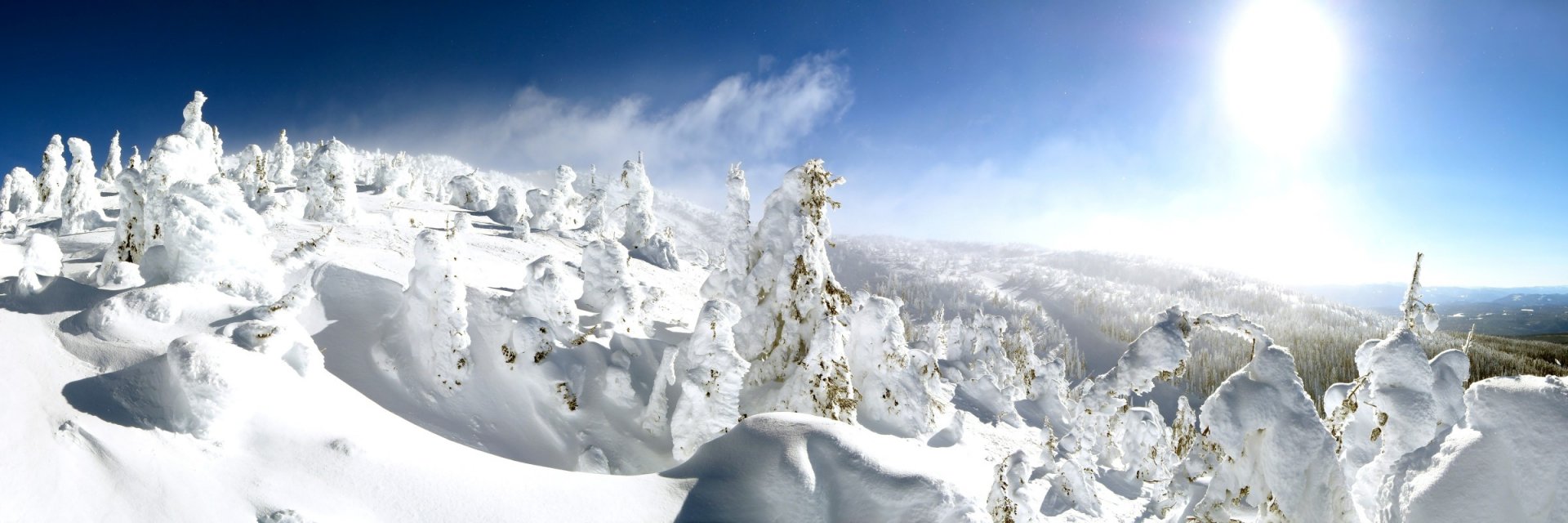 A stunning winter landscape in Kelowna, Canada, featuring snow-covered trees against a bright blue sky, capturing the serene beauty of nature.
