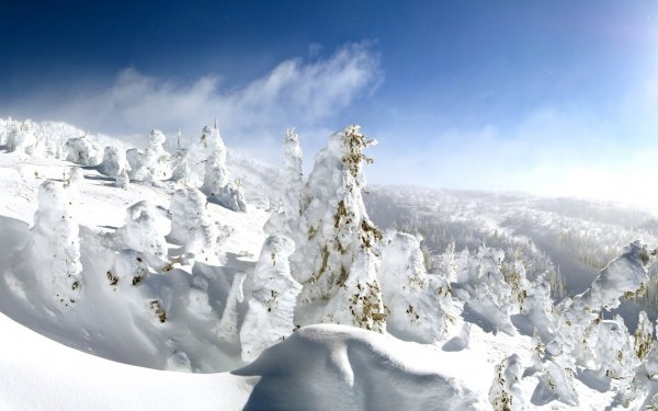 Earth Winter Kelowna Canada HD Wallpaper | Background Image