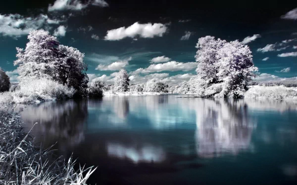 nature reflection HD Desktop Wallpaper | Background Image
