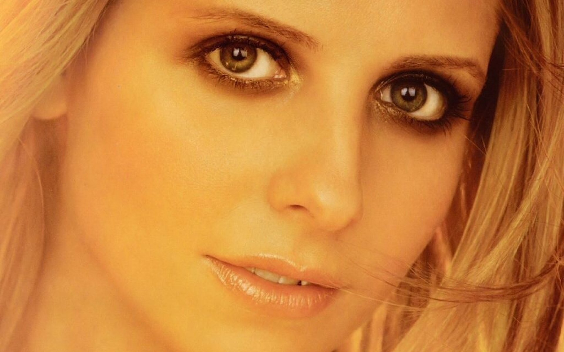 Sarah Gellar New Wallpapers