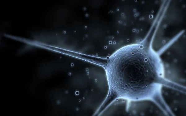 HD artistic wallpaper featuring a detailed depiction of a neuron, showcasing its intricate structure against a dark background with subtle glowing elements.