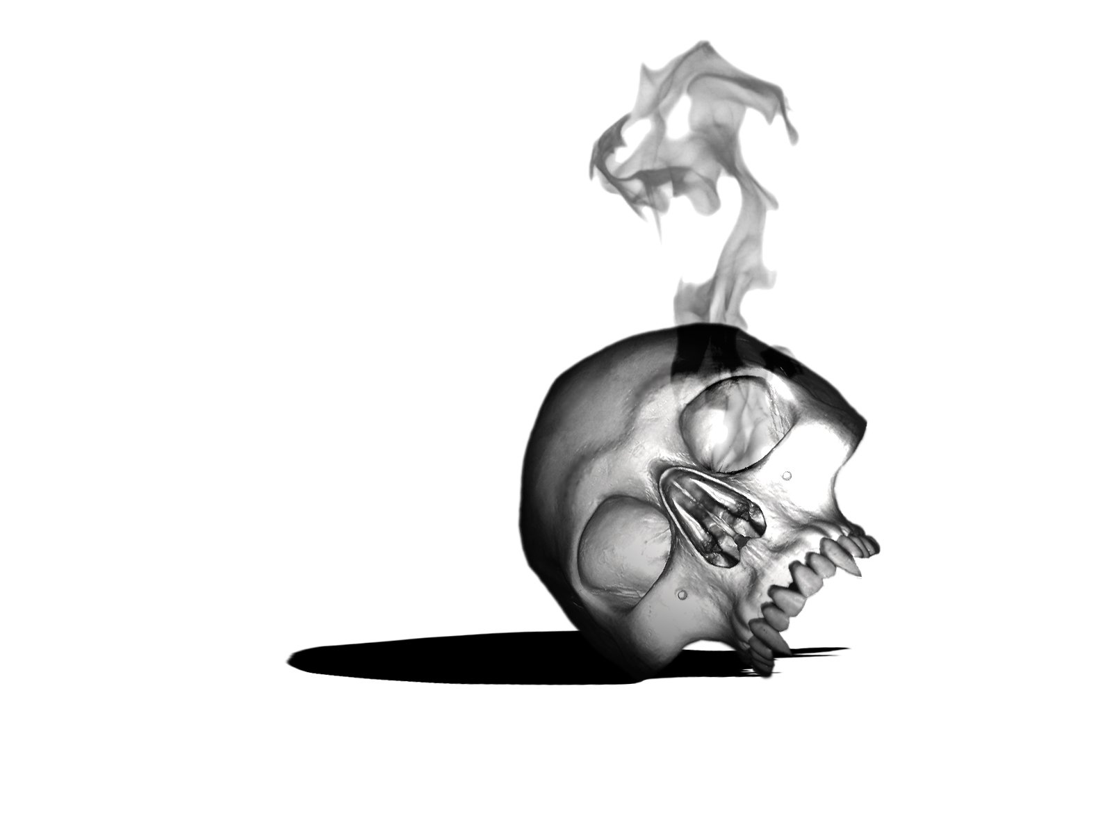 Wallpaper ID 147424  smoking artwork minimalism skull simple  background free download