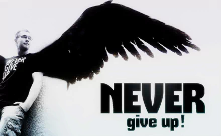 HD desktop wallpaper featuring a black angel wing extending from a person with the bold statement NEVER give up! in artistic typography on a white background.