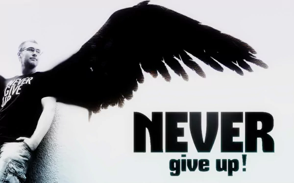 HD desktop wallpaper featuring a black angel wing extending from a person with the bold statement NEVER give up! in artistic typography on a white background.