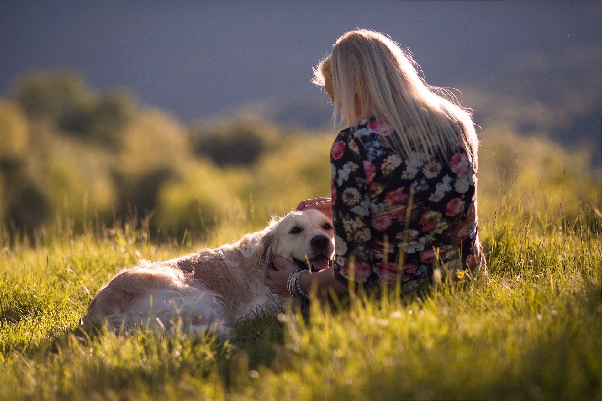 A woman with long blonde hair, wearing a floral dress, sits in a sunlit grassy field, gently petting a golden retriever. The serene setting and warm light create a peaceful mood. HD desktop wallpaper.