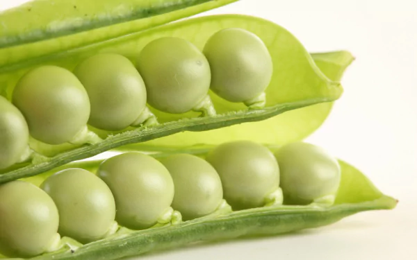 Macro shot of fresh green peas in open pods; food photo, 2K Quad HD PC desktop wallpaper and background.