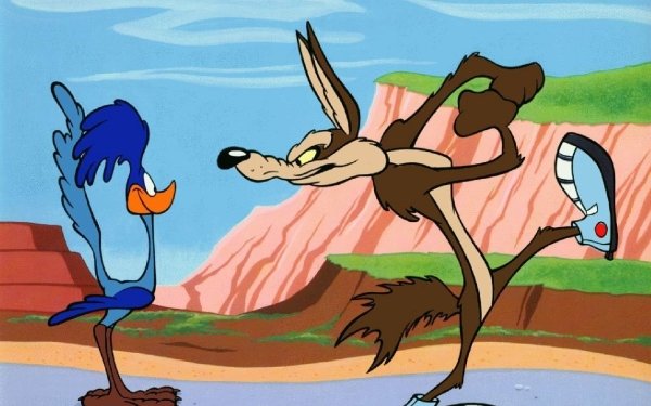 TV Show Looney Tunes Wile E. Coyote and The Road Runner Road Runner Wile E. Coyote HD Wallpaper | Background Image