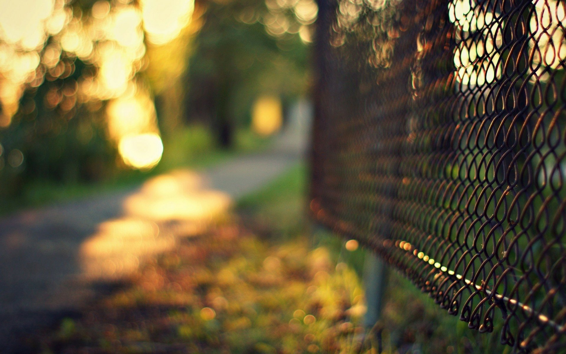 Fence HD Wallpaper