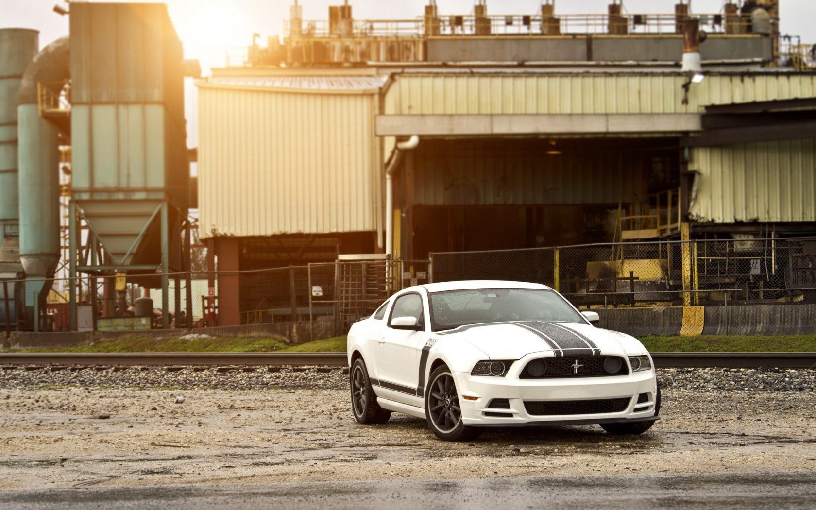 Download Vehicle Ford Mustang Shelby Wallpaper