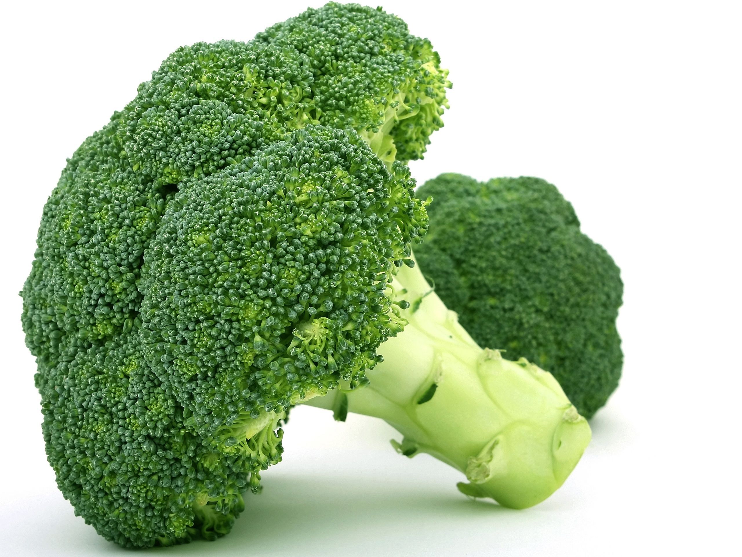 Food Broccoli HD Wallpaper
