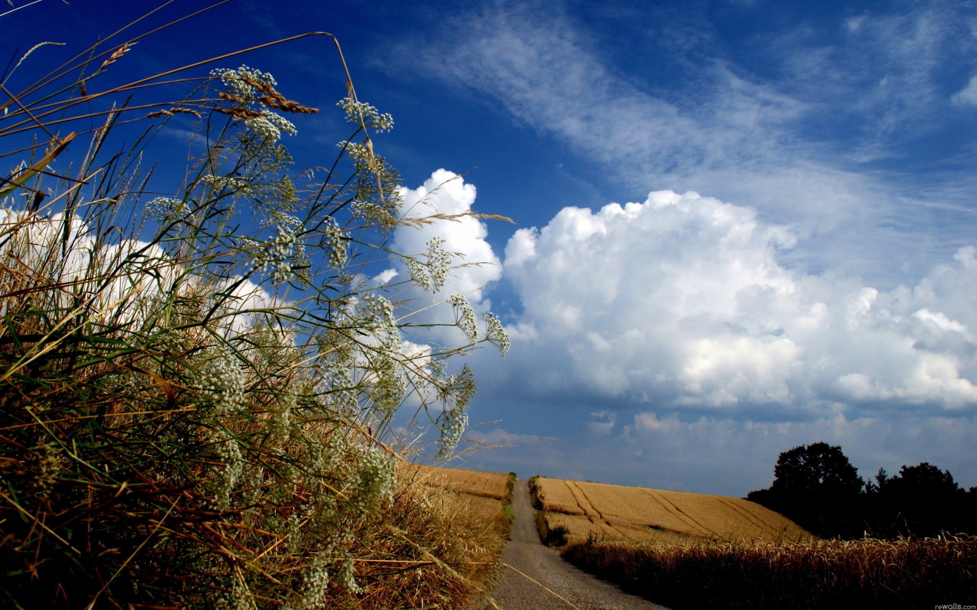 HD PC desktop wallpaper featuring a rural landscape with tall grasses, a dirt path, golden fields, and large white clouds under a vibrant blue sky.