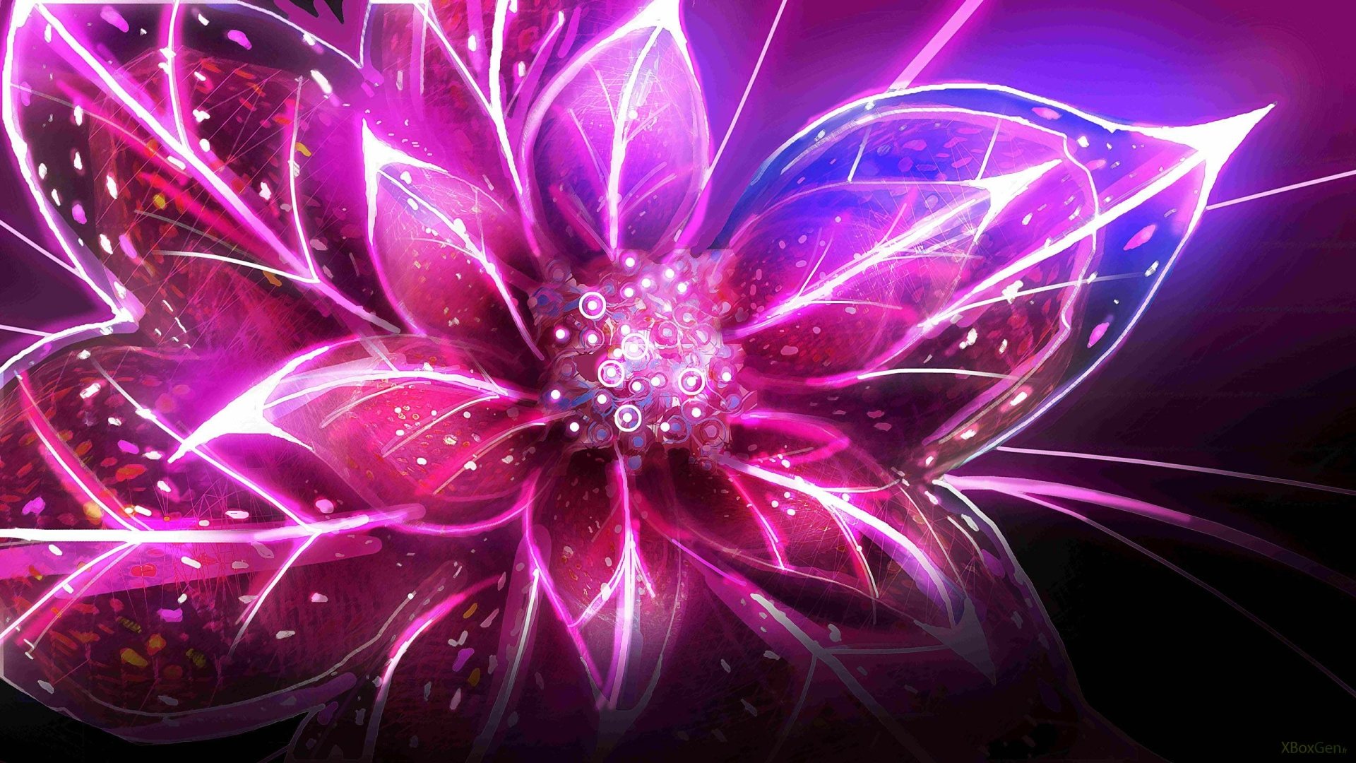 HD wallpaper of a vibrant, digital art flower with glowing pink and purple hues, designed for use as a desktop background in nature-themed settings.
