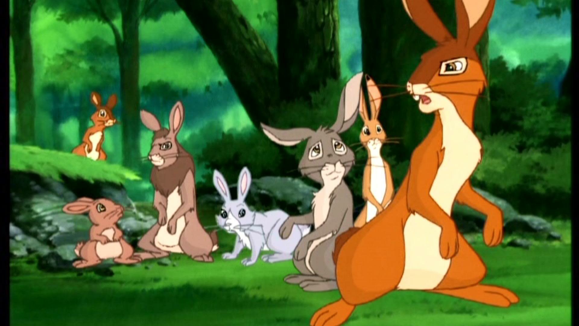 term paper on watership down