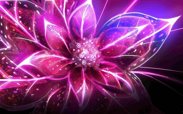 Earth Flower Flowers HD Wallpaper | Background Image