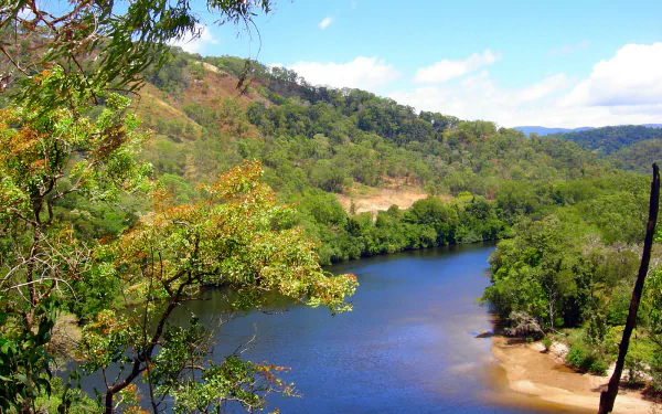 Lush green hills and trees surround a calm river under a bright blue sky, showcasing the natural beauty of Cape York in this HD PC desktop wallpaper.